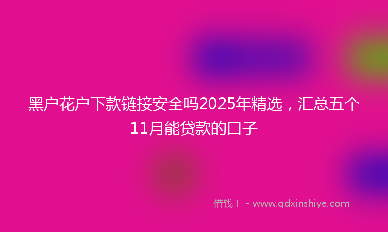 黑户花户下款链接安全吗2025年精选，汇总五个11月能贷款的口子
