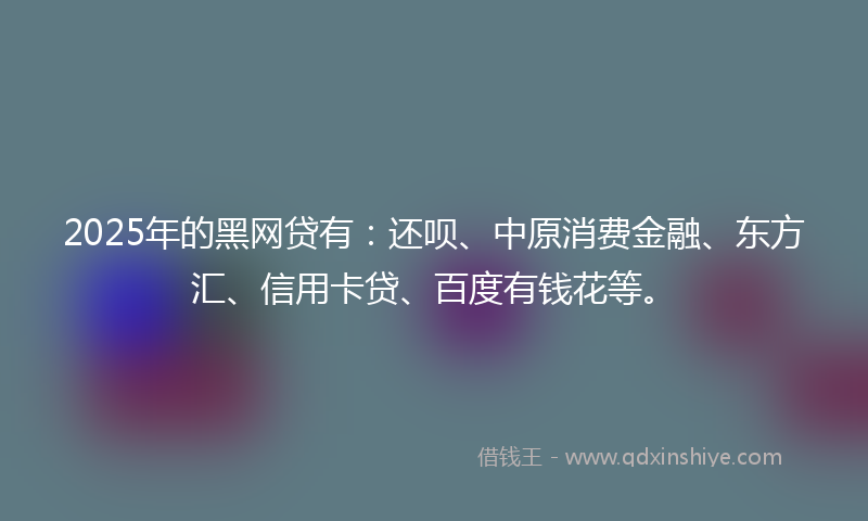 2025年的黑网贷有：还呗、中原消费金融、东方汇、信用卡贷、百度有钱花等。