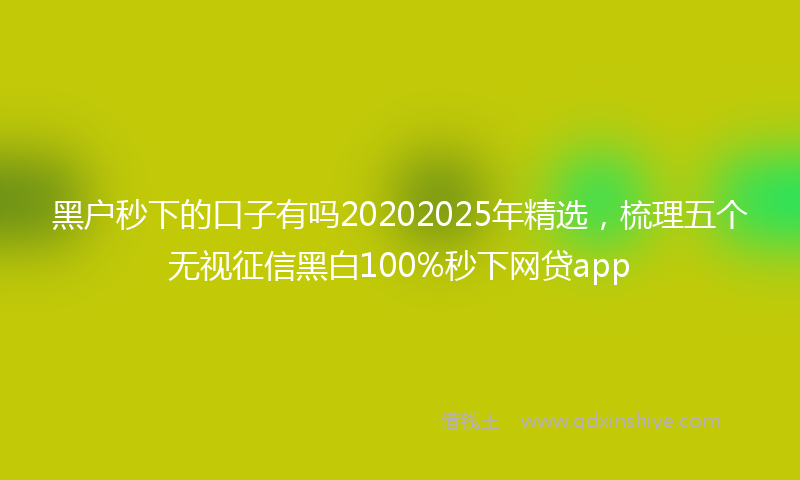 黑户秒下的口子有吗20202025年精选，梳理五个无视征信黑白100%秒下网贷app