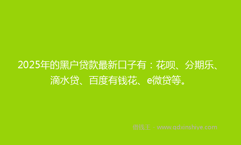 2025年的黑户贷款最新口子有：花呗、分期乐、滴水贷、百度有钱花、e微贷等。