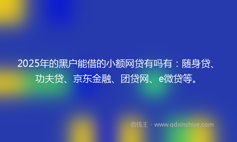 2025年的黑户能借的小额网贷有吗有：随身贷、功夫贷、京东金融、团贷网、e微贷等。