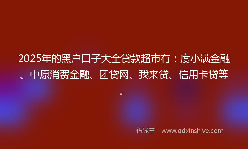 2025年的黑户口子大全贷款超市有：度小满金融、中原消费金融、团贷网、我来贷、信用卡贷等。