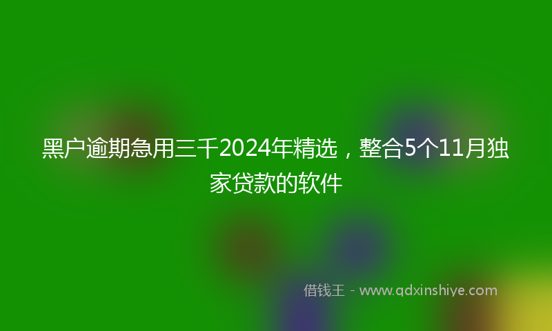 黑户逾期急用三千2024年精选，整合5个11月独家贷款的软件
