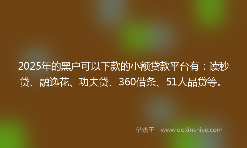2025年的黑户可以下款的小额贷款平台有：读秒贷、融逸花、功夫贷、360借条、51人品贷等。