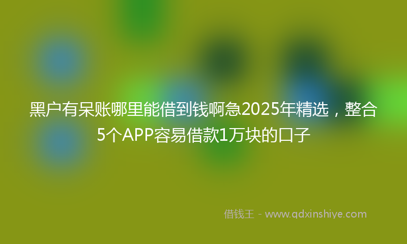 黑户有呆账哪里能借到钱啊急2025年精选，整合5个APP容易借款1万块的口子