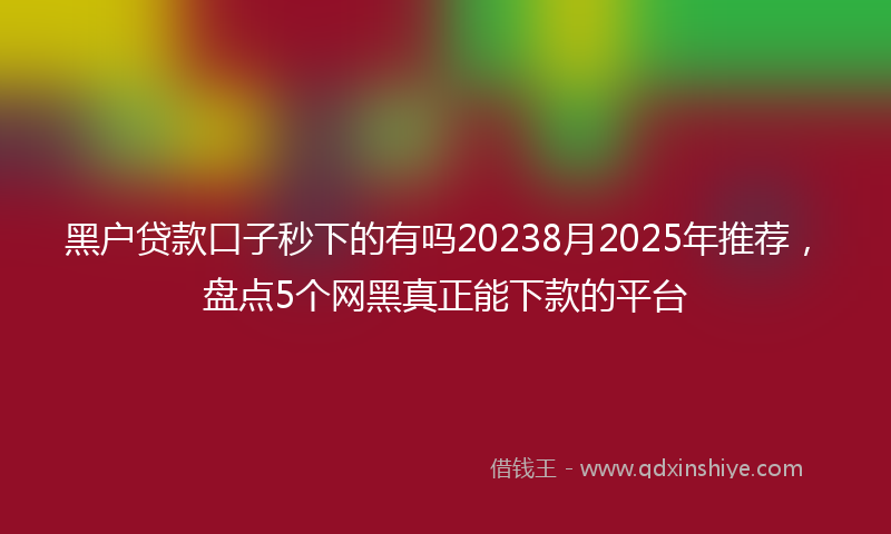 黑户贷款口子秒下的有吗20238月2025年推荐，盘点5个网黑真正能下款的平台