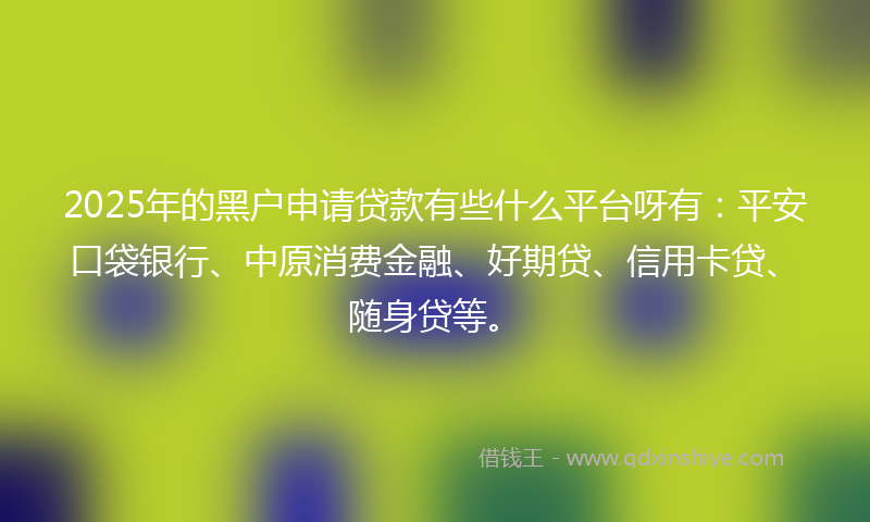 2025年的黑户申请贷款有些什么平台呀有：平安口袋银行、中原消费金融、好期贷、信用卡贷、随身贷等。