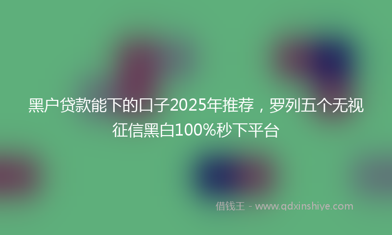 黑户贷款能下的口子2025年推荐，罗列五个无视征信黑白100%秒下平台