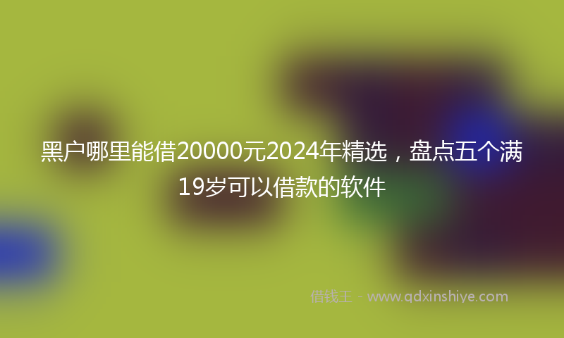 黑户哪里能借20000元2024年精选，盘点五个满19岁可以借款的软件