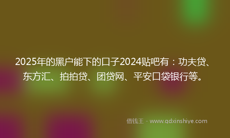 2025年的黑户能下的口子2024贴吧有：功夫贷、东方汇、拍拍贷、团贷网、平安口袋银行等。