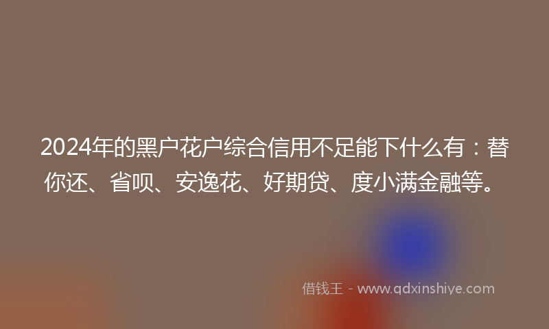 2024年的黑户花户综合信用不足能下什么有：替你还、省呗、安逸花、好期贷、度小满金融等。