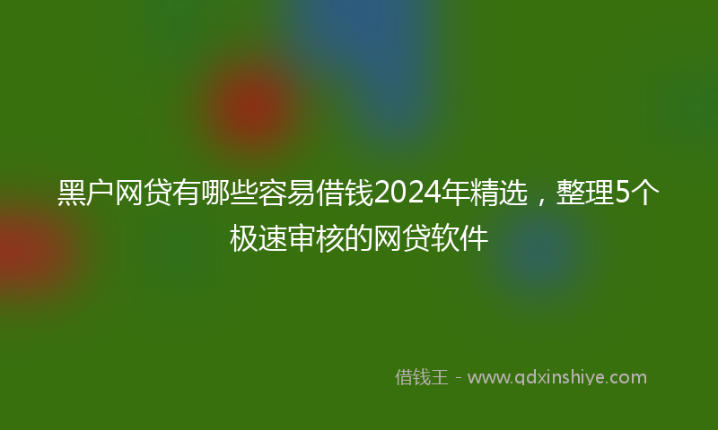 黑户网贷有哪些容易借钱2024年精选，整理5个极速审核的网贷软件