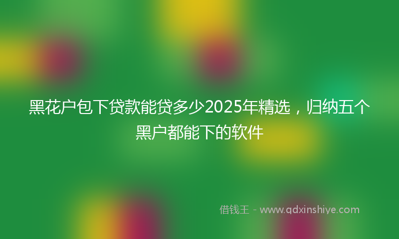 黑花户包下贷款能贷多少2025年精选，归纳五个黑户都能下的软件