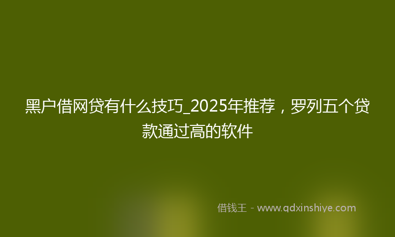 黑户借网贷有什么技巧_2025年推荐，罗列五个贷款通过高的软件