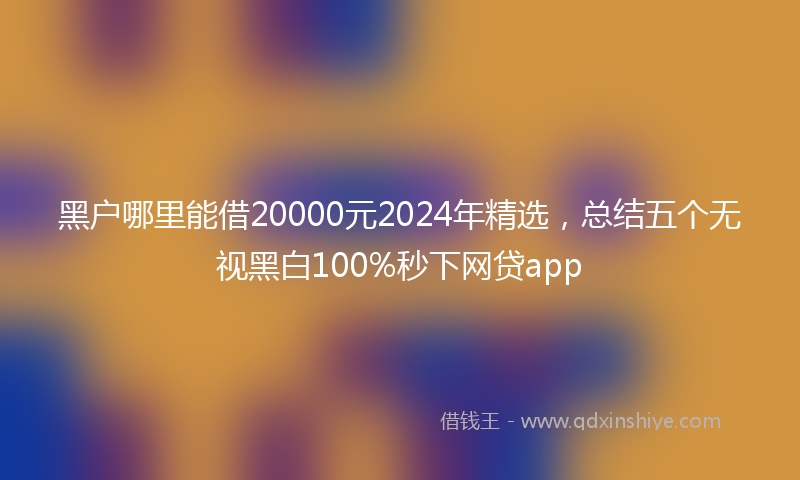黑户哪里能借20000元2024年精选，总结五个无视黑白100%秒下网贷app