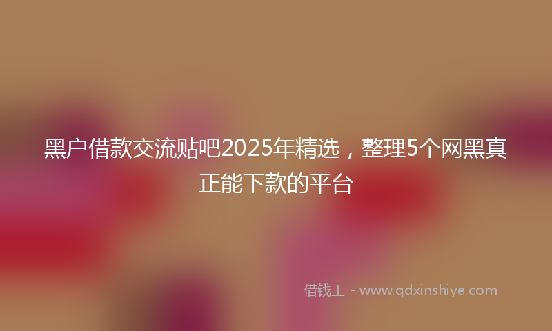 黑户借款交流贴吧2025年精选，整理5个网黑真正能下款的平台