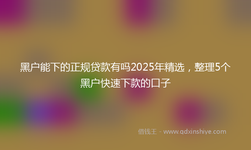 黑户能下的正规贷款有吗2025年精选，整理5个黑户快速下款的口子