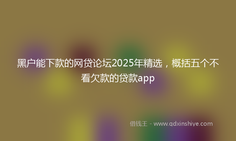 黑户能下款的网贷论坛2025年精选，概括五个不看欠款的贷款app