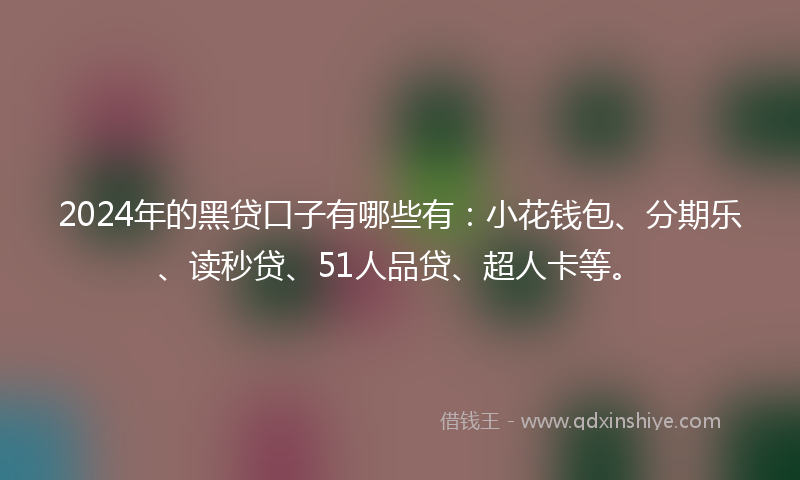 2024年的黑贷口子有哪些有：小花钱包、分期乐、读秒贷、51人品贷、超人卡等。