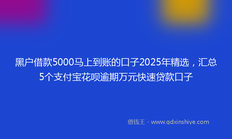 黑户借款5000马上到账的口子2025年精选，汇总5个支付宝花呗逾期万元快速贷款口子