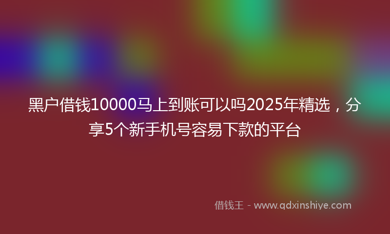 黑户借钱10000马上到账可以吗2025年精选，分享5个新手机号容易下款的平台