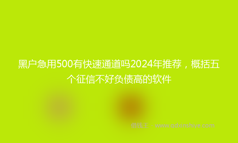 黑户急用500有快速通道吗2024年推荐，概括五个征信不好负债高的软件