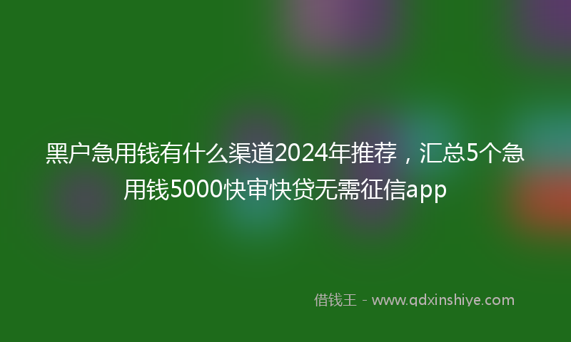 黑户急用钱有什么渠道2024年推荐，汇总5个急用钱5000快审快贷无需征信app