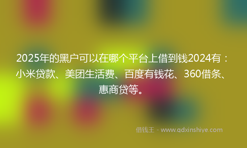 2025年的黑户可以在哪个平台上借到钱2024有：小米贷款、美团生活费、百度有钱花、360借条、惠商贷等。
