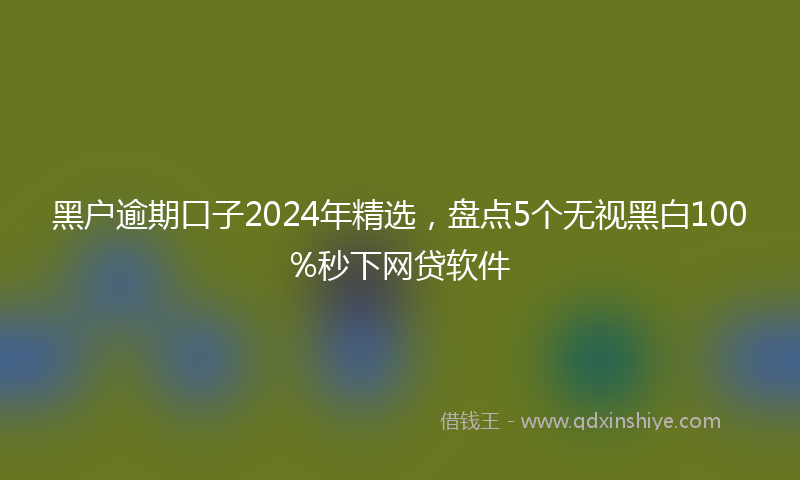 黑户逾期口子2024年精选，盘点5个无视黑白100%秒下网贷软件