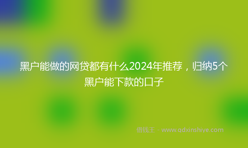 黑户能做的网贷都有什么2024年推荐，归纳5个黑户能下款的口子