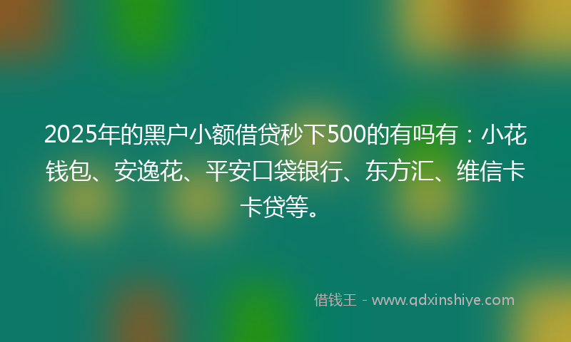 2025年的黑户小额借贷秒下500的有吗有：小花钱包、安逸花、平安口袋银行、东方汇、维信卡卡贷等。
