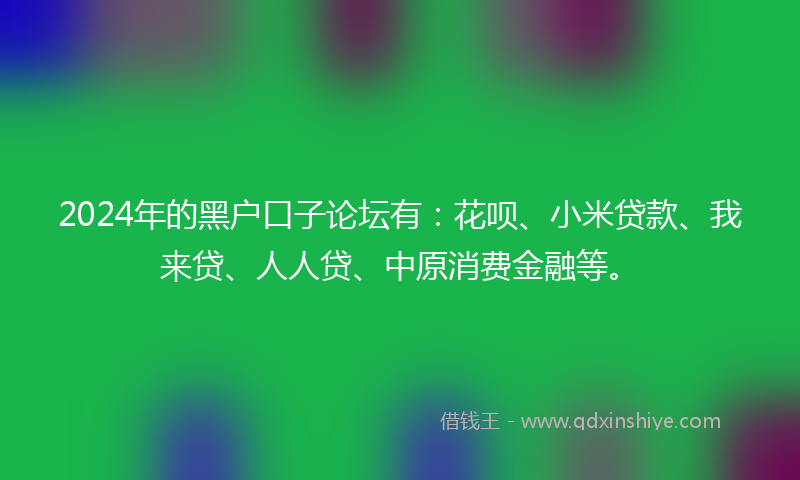2024年的黑户口子论坛有：花呗、小米贷款、我来贷、人人贷、中原消费金融等。