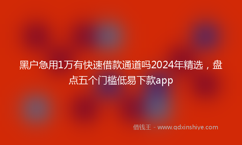 黑户急用1万有快速借款通道吗2024年精选，盘点五个门槛低易下款app