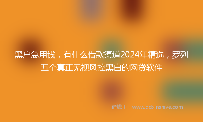 黑户急用钱,有什么借款渠道2024年精选,罗列五个真正无视风控黑白的网贷软件