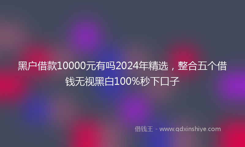 黑户借款10000元有吗2024年精选，整合五个借钱无视黑白100%秒下口子