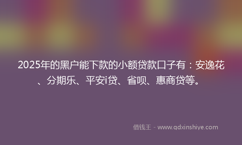 2025年的黑户能下款的小额贷款口子有：安逸花、分期乐、平安i贷、省呗、惠商贷等。