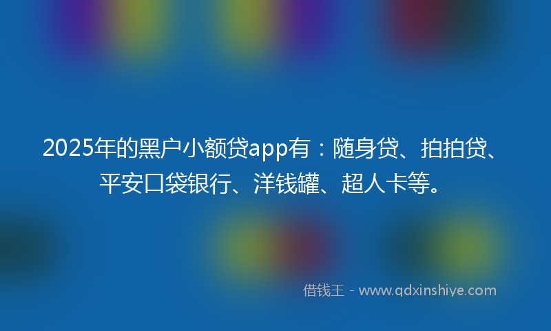 2025年的黑户小额贷app有：随身贷、拍拍贷、平安口袋银行、洋钱罐、超人卡等。