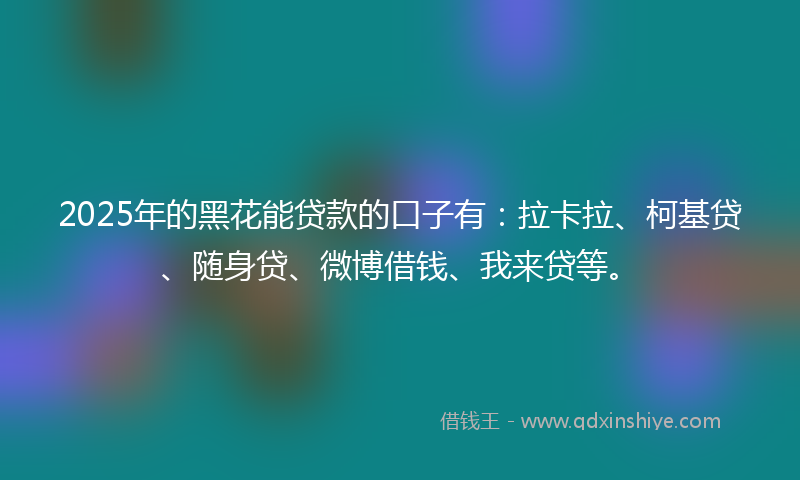 2025年的黑花能贷款的口子有：拉卡拉、柯基贷、随身贷、微博借钱、我来贷等。