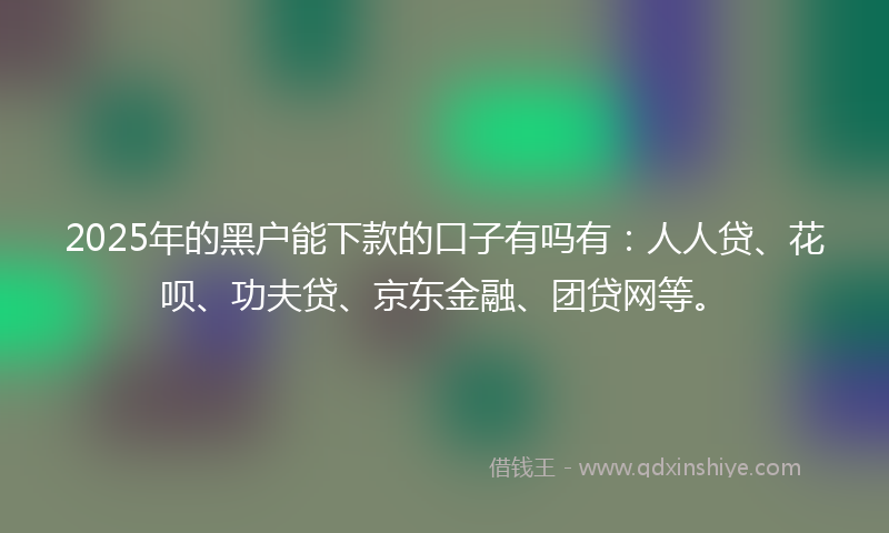 2025年的黑户能下款的口子有吗有：人人贷、花呗、功夫贷、京东金融、团贷网等。