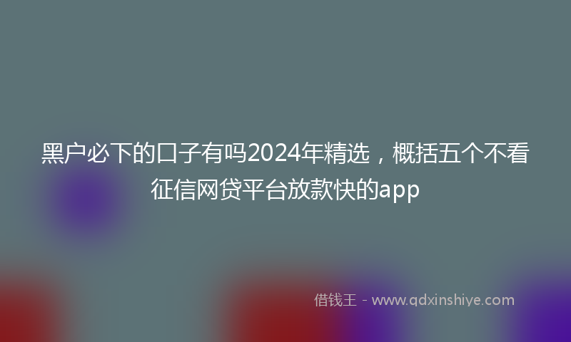 黑户必下的口子有吗2024年精选，概括五个不看征信网贷平台放款快的app