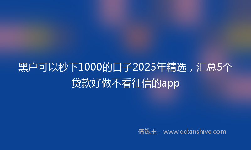 黑户可以秒下1000的口子2025年精选，汇总5个贷款好做不看征信的app