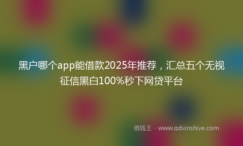 黑户哪个app能借款2025年推荐，汇总五个无视征信黑白100%秒下网贷平台