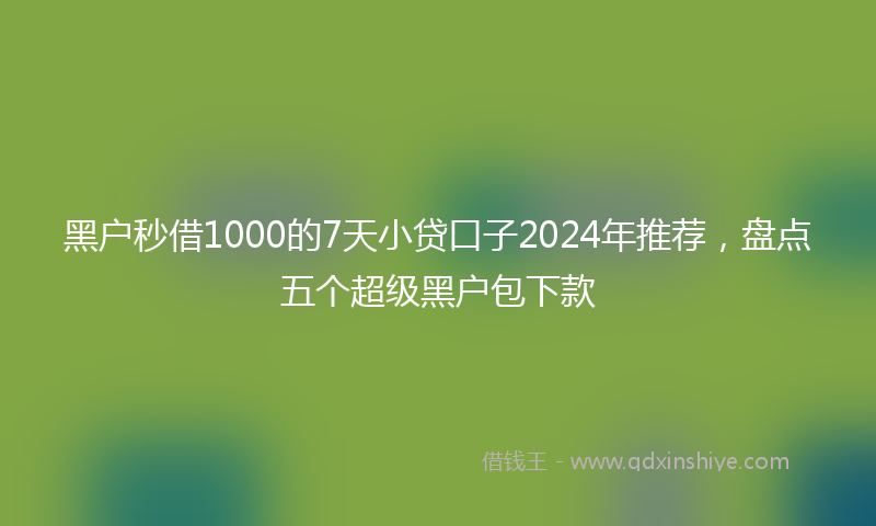 黑户秒借1000的7天小贷口子2024年推荐，盘点五个超级黑户包下款