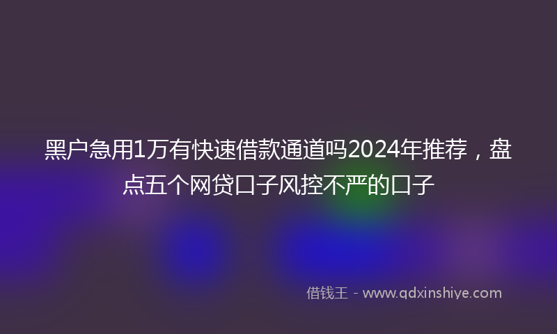 黑户急用1万有快速借款通道吗2024年推荐，盘点五个网贷口子风控不严的口子