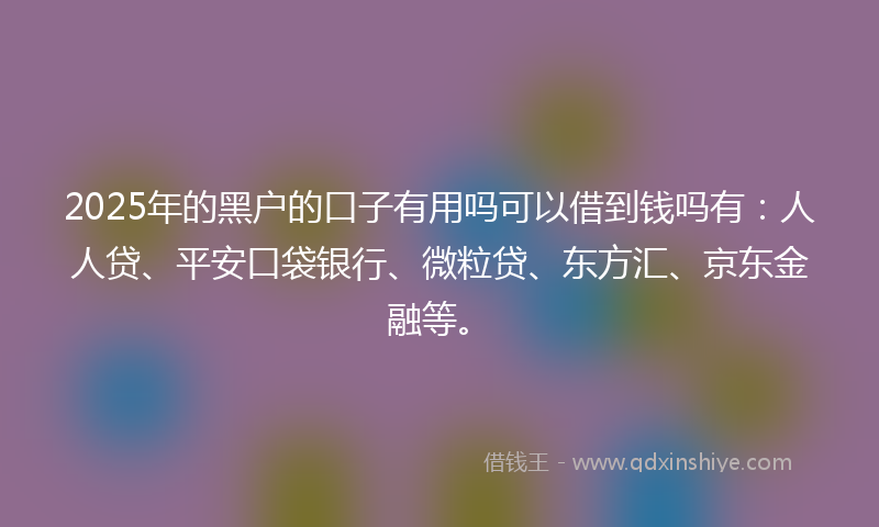 2025年的黑户的口子有用吗可以借到钱吗有：人人贷、平安口袋银行、微粒贷、东方汇、京东金融等。