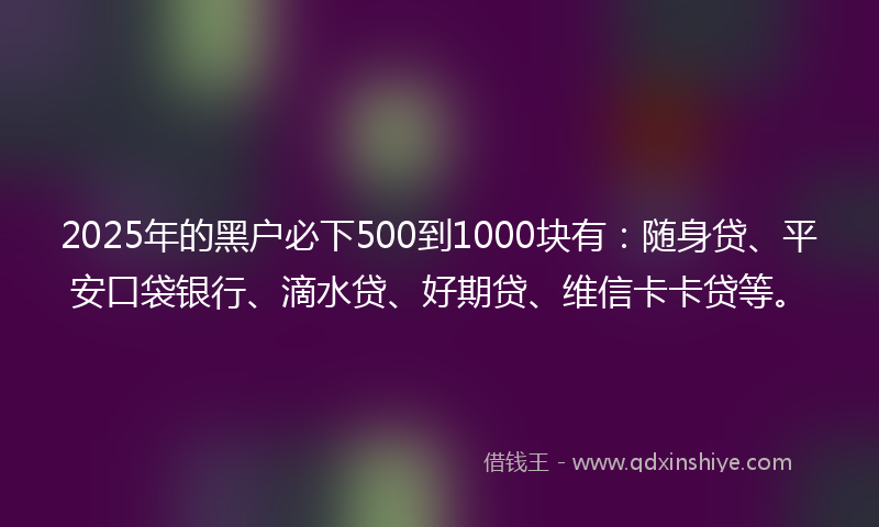 2025年的黑户必下500到1000块有：随身贷、平安口袋银行、滴水贷、好期贷、维信卡卡贷等。