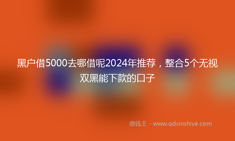 黑户借5000去哪借呢2024年推荐，整合5个无视双黑能下款的口子