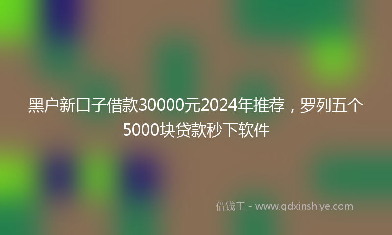 黑户新口子借款30000元2024年推荐，罗列五个5000块贷款秒下软件