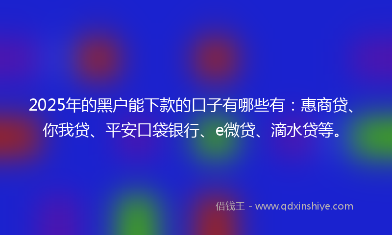 2025年的黑户能下款的口子有哪些有：惠商贷、你我贷、平安口袋银行、e微贷、滴水贷等。