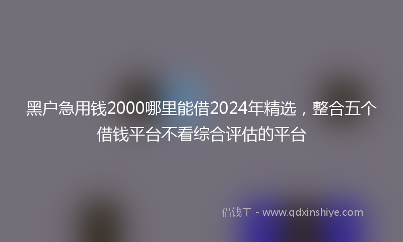 黑户急用钱2000哪里能借2024年精选，整合五个借钱平台不看综合评估的平台